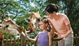 海南动物园爆料视频