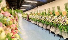 花篮网最新爆料视频大全,精彩瞬间一网打尽